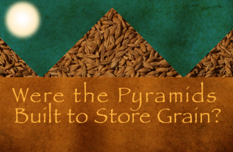 Were the Pyramids Built to Store Grain?