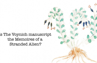 Is The Voynich manuscript the Memoirs of a Stranded Alien?